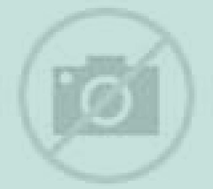 Abril 2 Pizarra escort