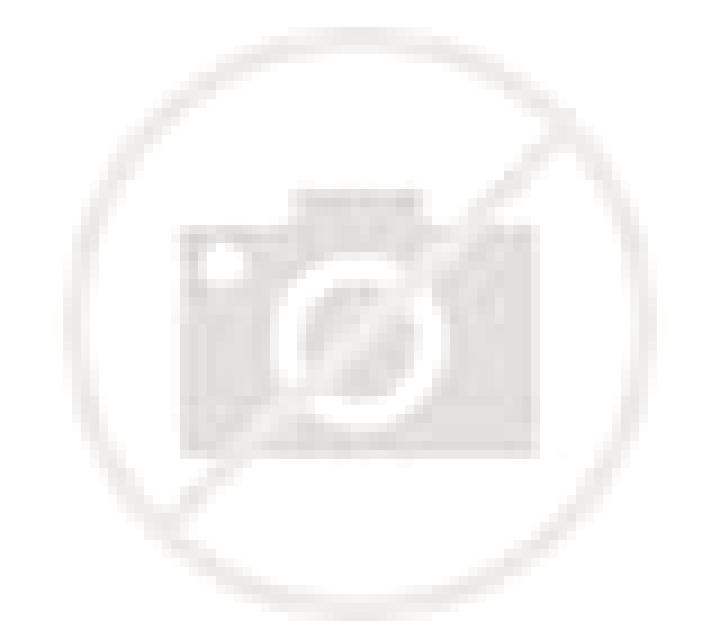Abril Burgos escort