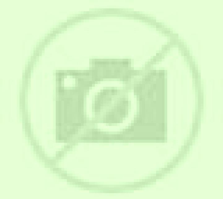Abril Casasimarro escort