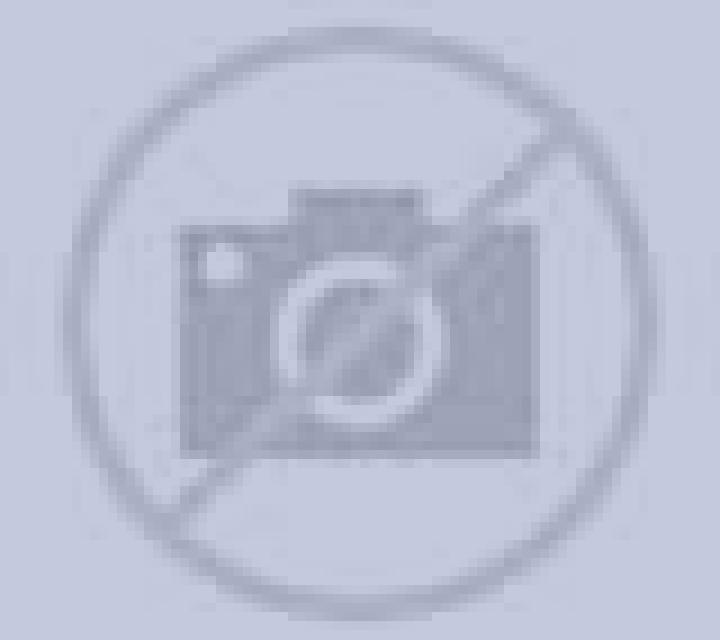 Adriana Rios escort