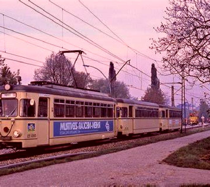Alba 2 Montferri escort