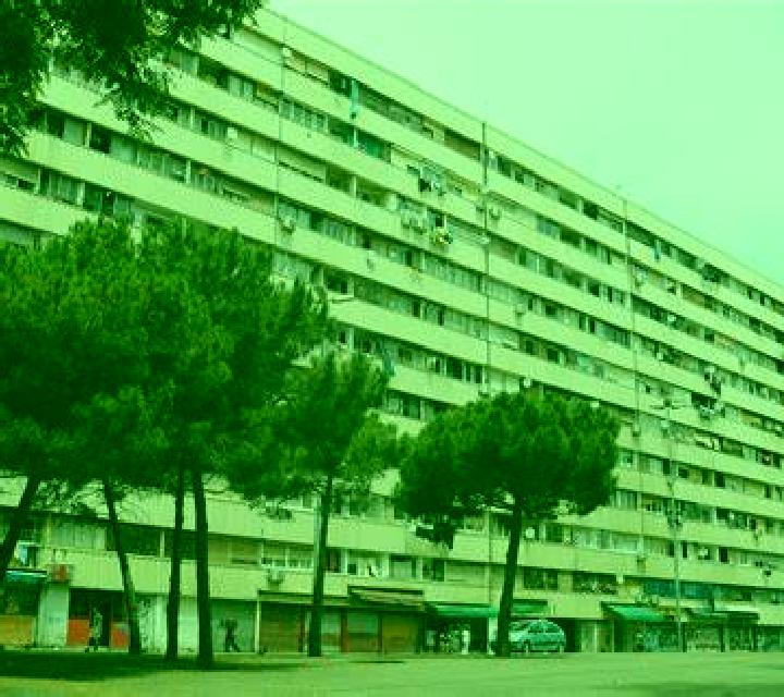 Alba Friera de Valverde escort