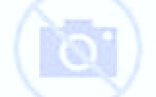 Alejandra Abrucena escort