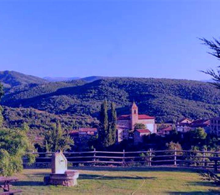 Alejandra Casas de Juan Nunez escort