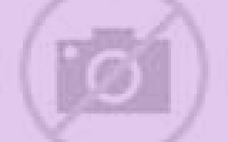 Amanda Berzosilla escort