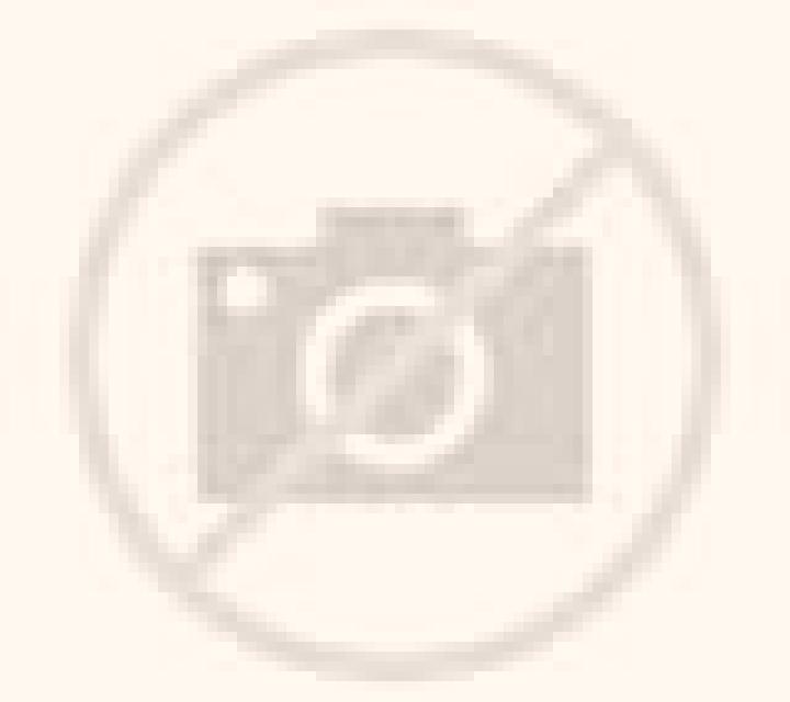 Amanda L Eliana escort