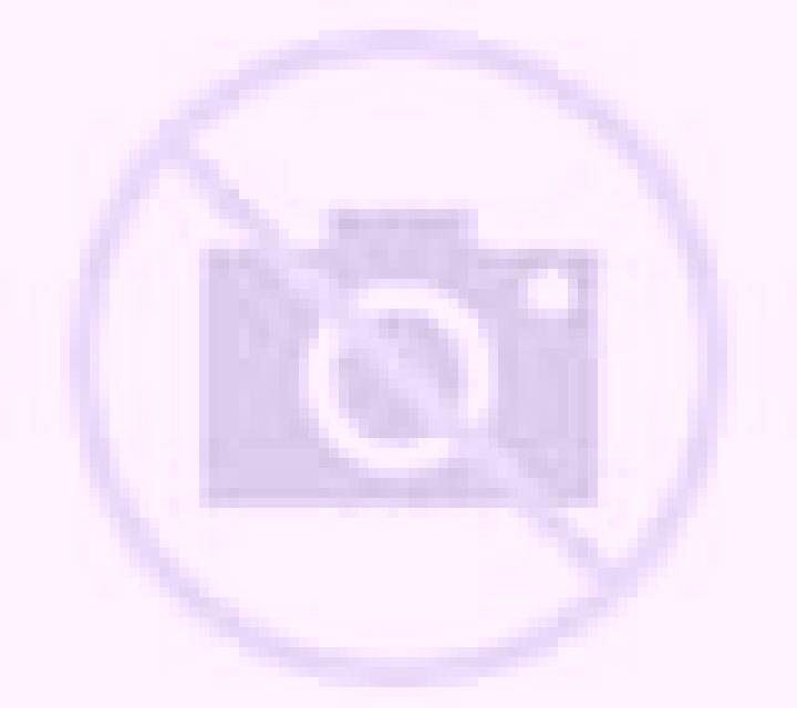 Amanda Oliva de Plasencia escort