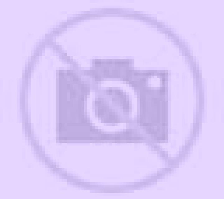 Amanda Villasabariego escort