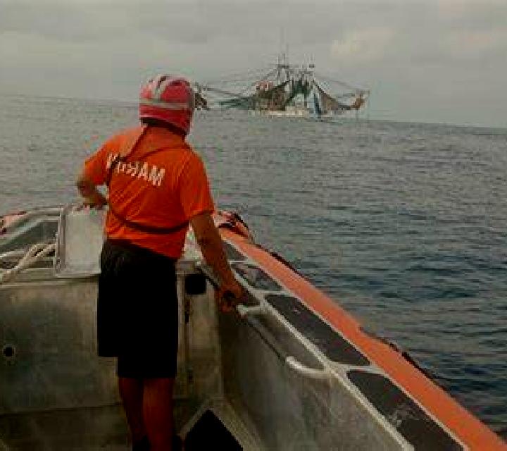 Amaya Barcial del Barco escort