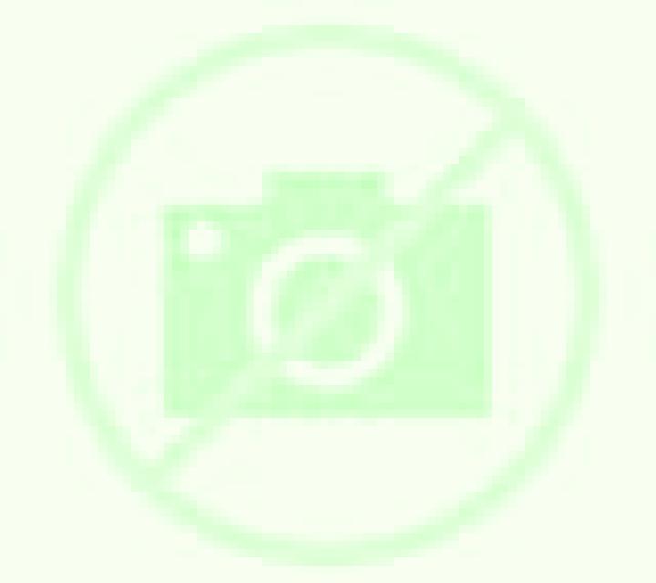 Amaya Megeces escort