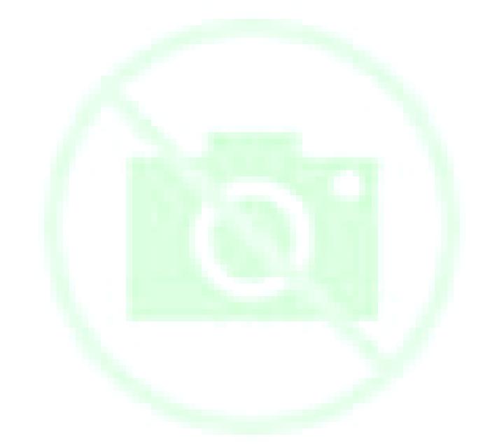 Andrea 2 Barraco escort
