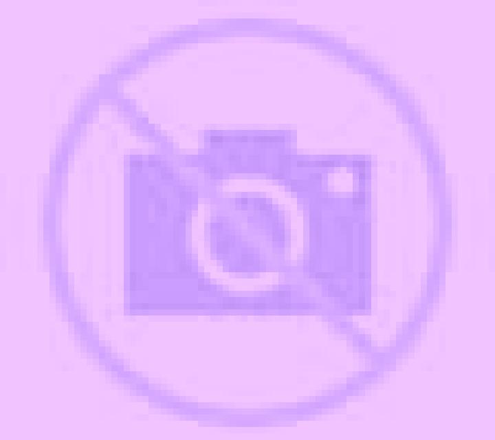 Andrea Argavieso escort