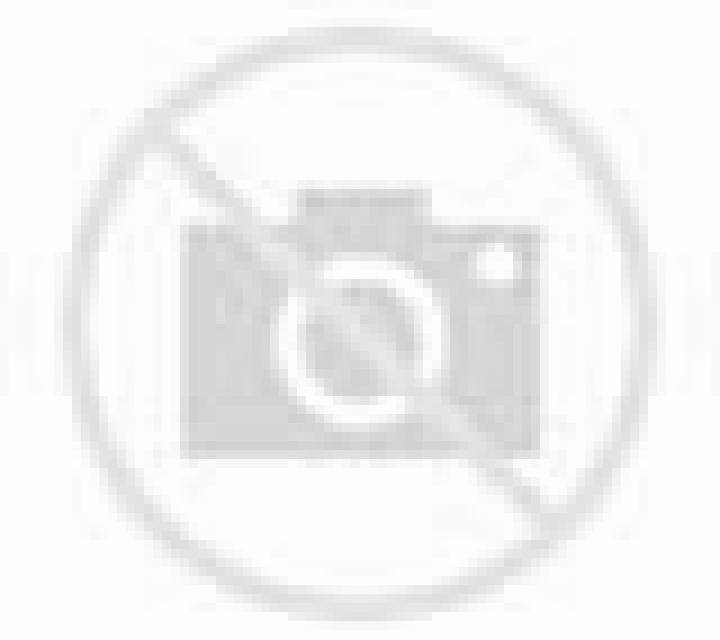 Andrea Carcar escort