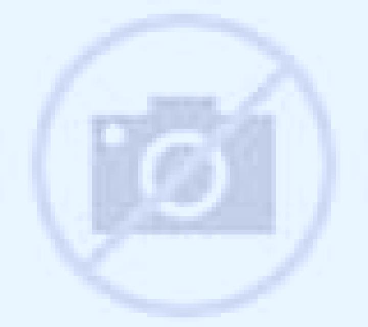 Andrea Saldana escort