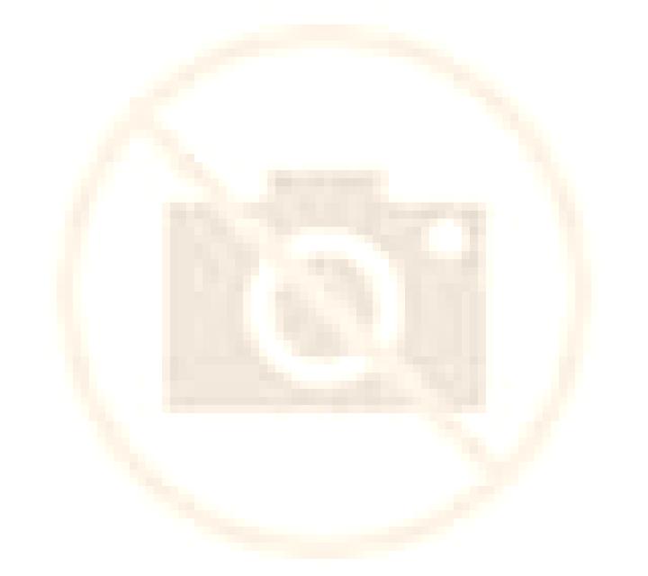 Andrea Tomelloso escort
