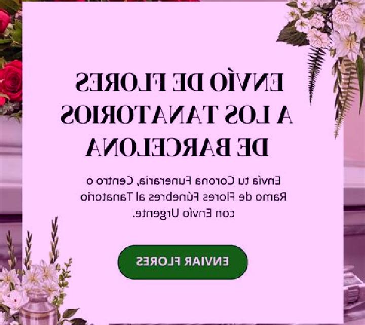 Antonella Flores de Avila escort