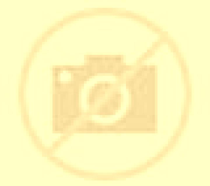 Bianca Gallocanta escort