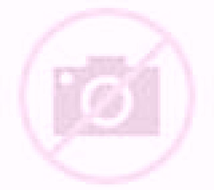 Camila 3 Usurbil escort