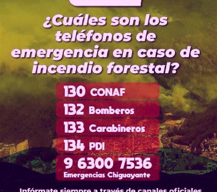 Camila Covaleda escort