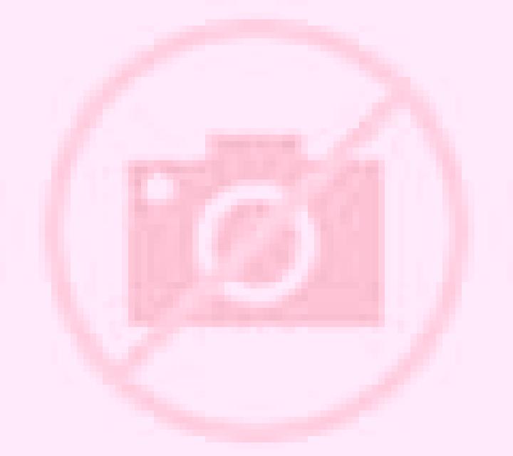 Carla Algamitas escort