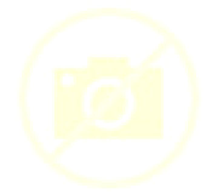 Carla Dos Torres escort