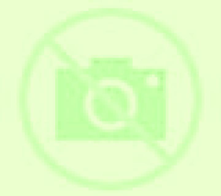 Carmen 3 Etxalar escort