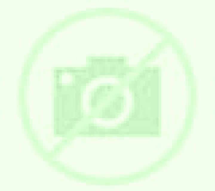 Carmen 3 Tomino escort