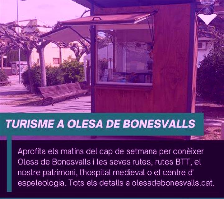 Carmen 3 Vilvestre escort