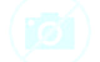 Carmen Ituren escort