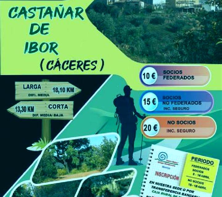 Cayetana 2 Alpanseque escort