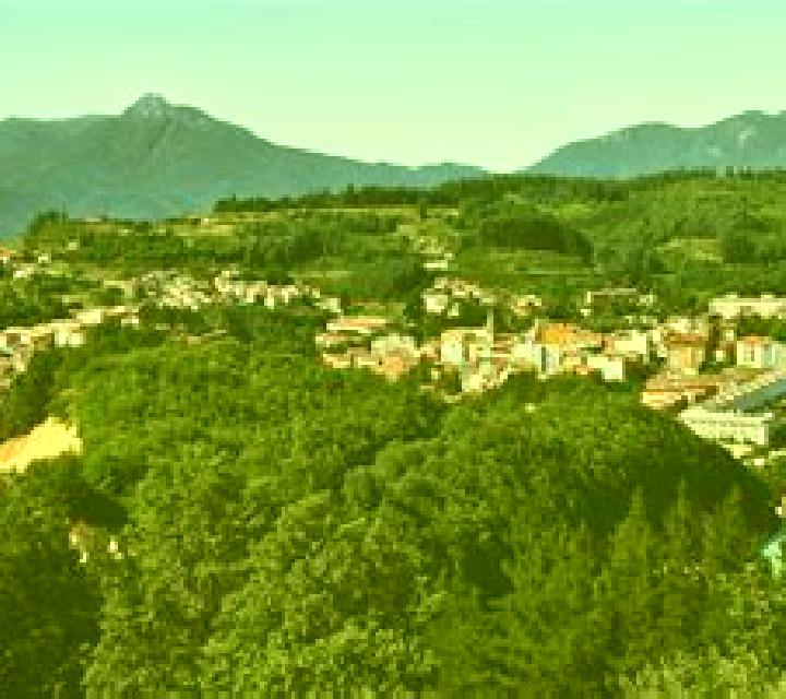 Cayetana Hoyocasero escort