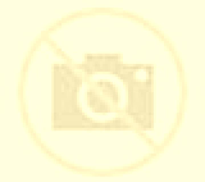 Cecilia Sant Feliu de Codines escort