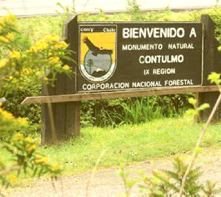 Cielo 3 Villa del Campo escort