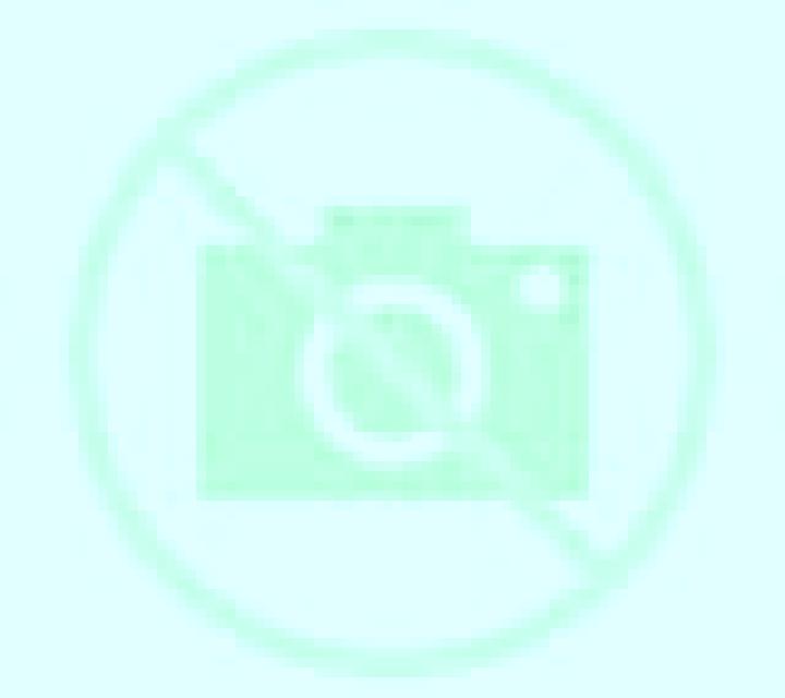 Daniela 2 Castellote escort