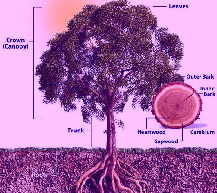 Elena 3 Castildelgado escort