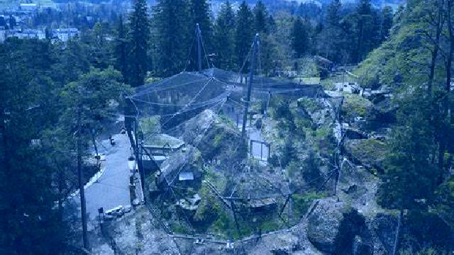 Emilia Olmeda de Cobeta escort