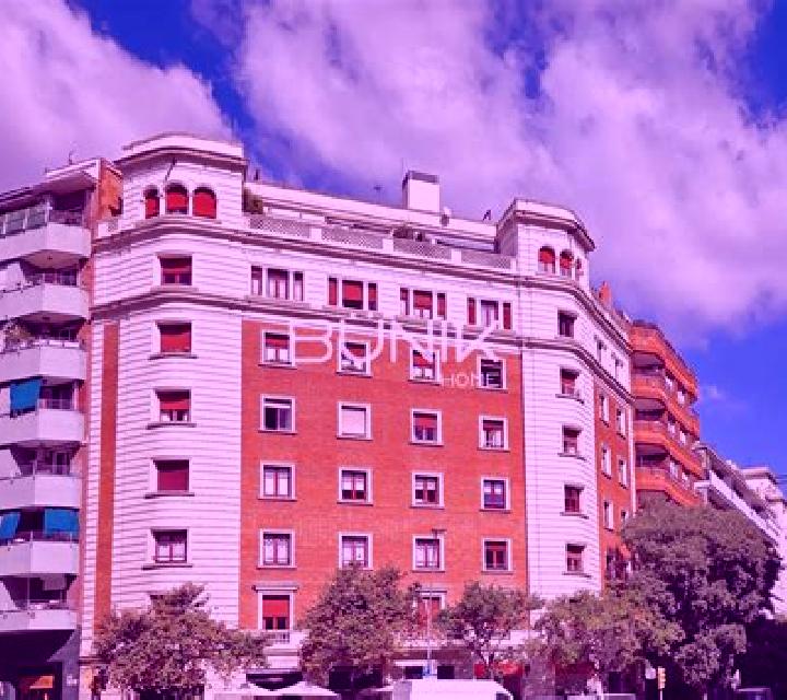Estrella 3 Los Gabatos escort
