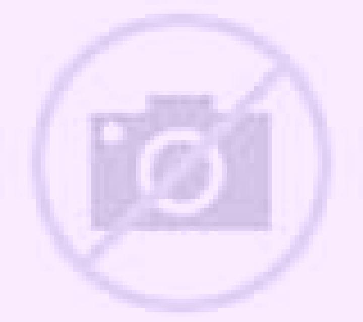 Estrella Cilleros escort