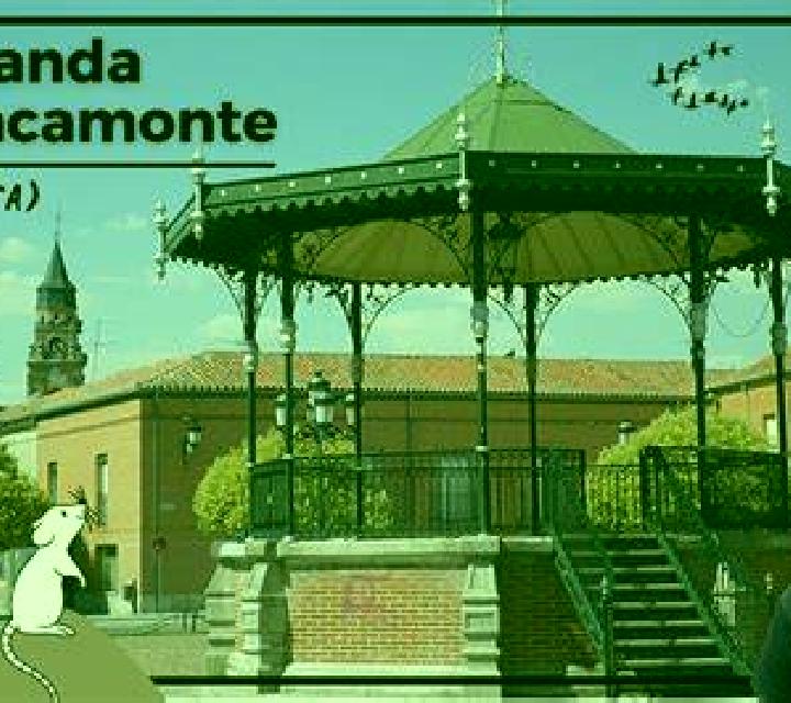 Florencia 2 El Ejido escort