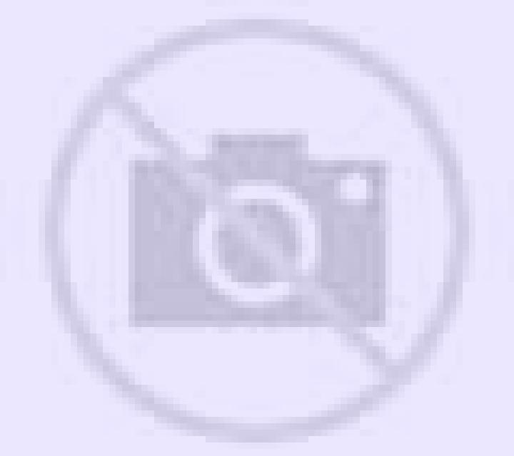Florencia Ses Salines escort