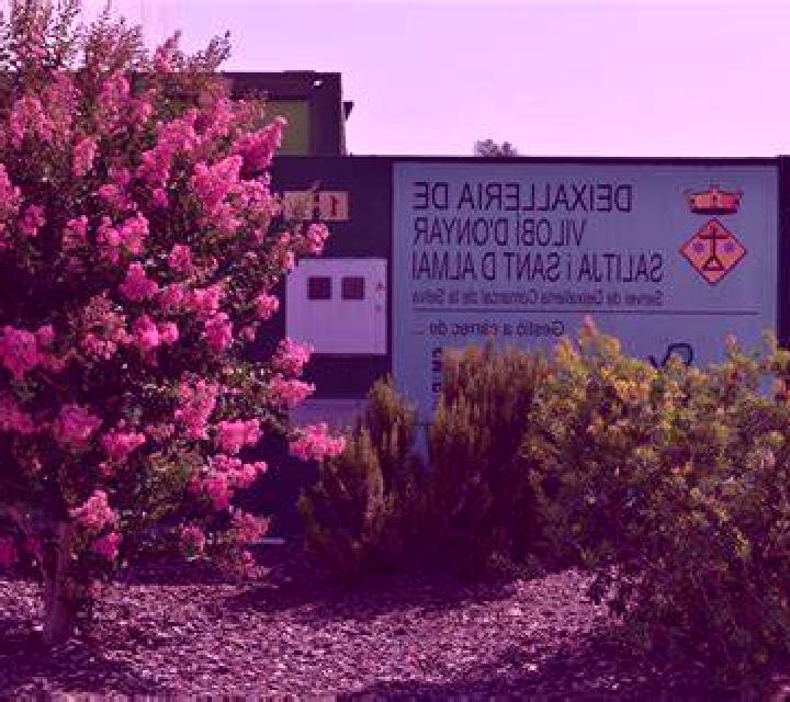 Gabriela Vilobi d Onyar escort