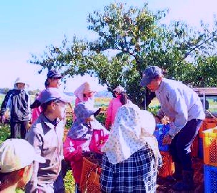 Giulia 3 Genalguacil escort