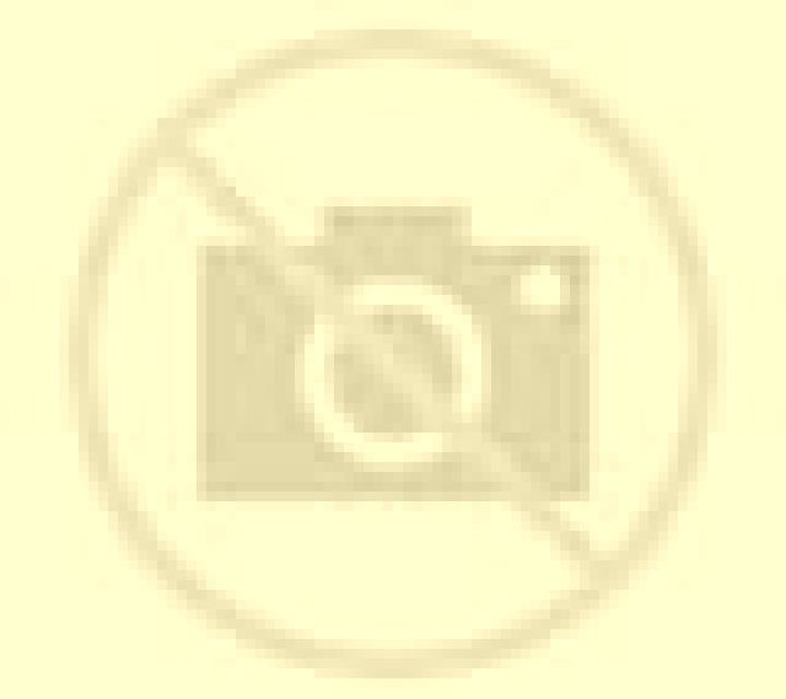 Irene Creixell escort
