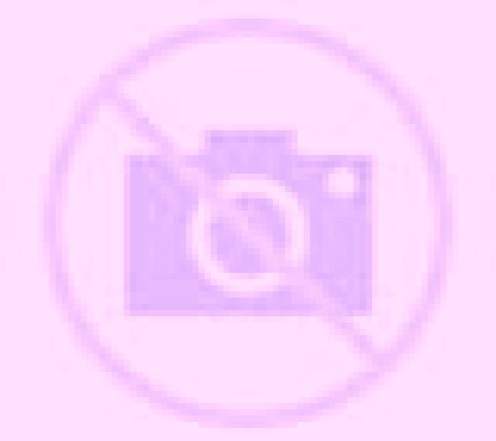 Isabela 2 Pleitas escort