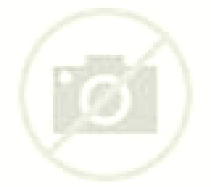Isabela 3 Armenteros escort