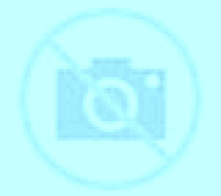 Isabela 3 Canada Rosal escort