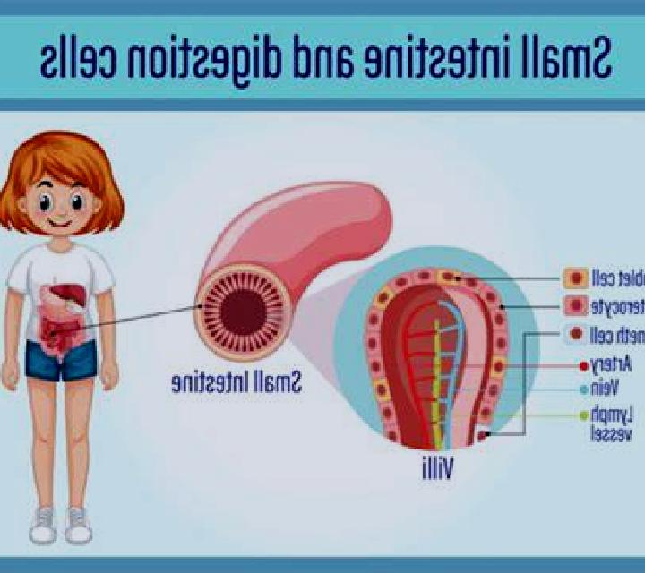 Isabella 2 Dilar escort