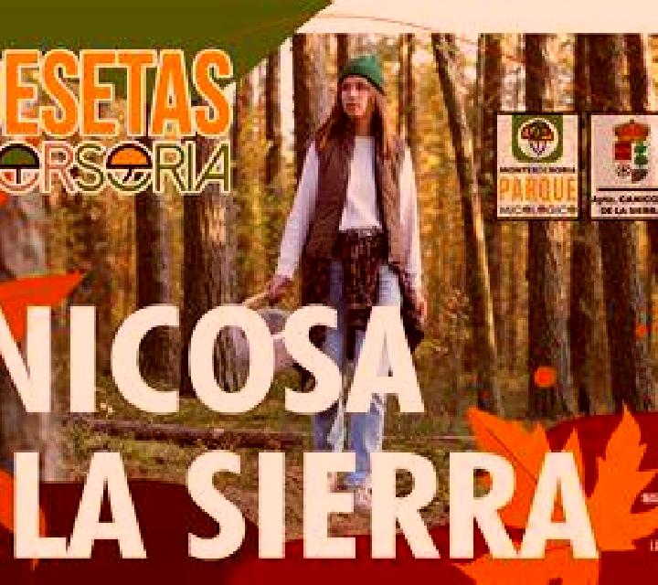 Jade Canicosa de la Sierra escort