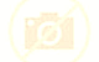 Josefina Cisterniga escort