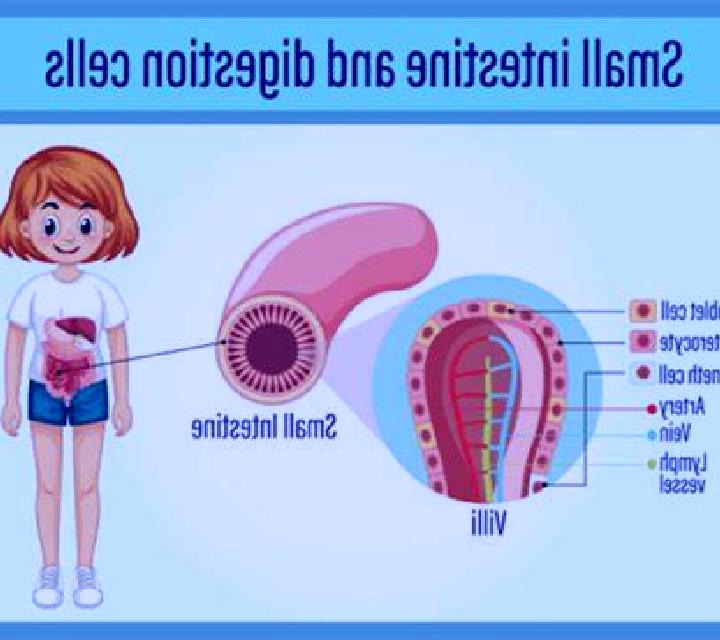 Josefina Mazuecos de Valdeginate escort